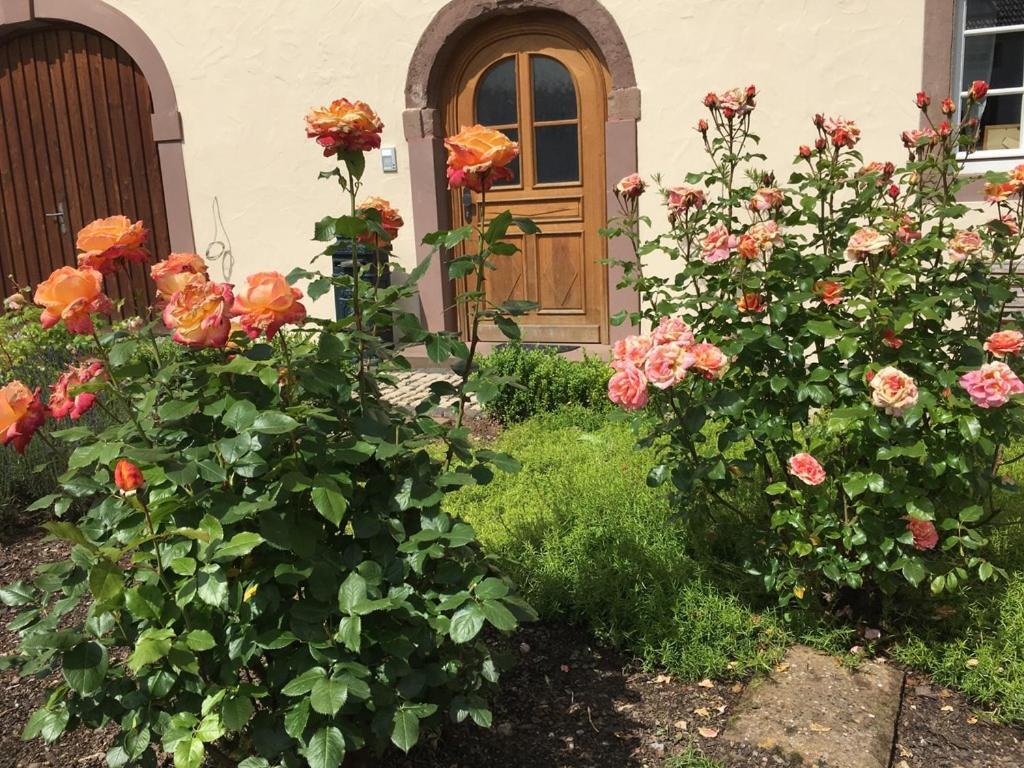 Ferienwohnung In Historischem Bauernhaus In Der Eifel Mettendorf Eksteriør bilde